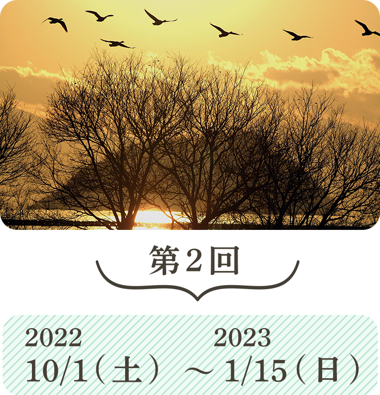 第2回 2022 10/1(土)～1/15(日)